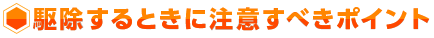 駆除するときに注意すべきポイント