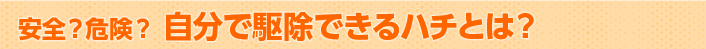 安全?危険? 自分で駆除できるハチとは?